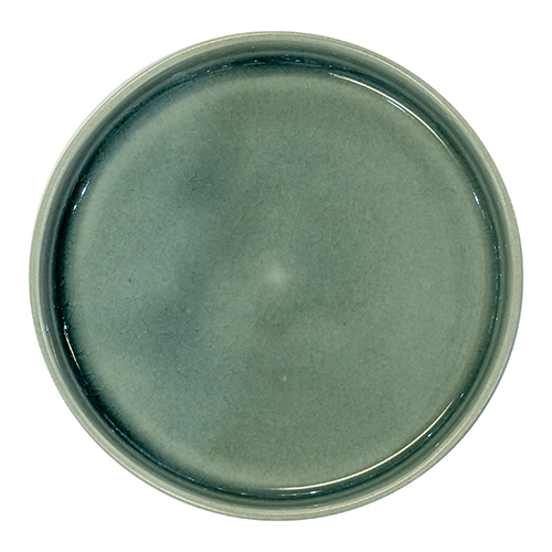 Speiseteller 27 cm "OCO auster"