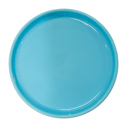 Speiseteller 27 cm "OCO hellblau"