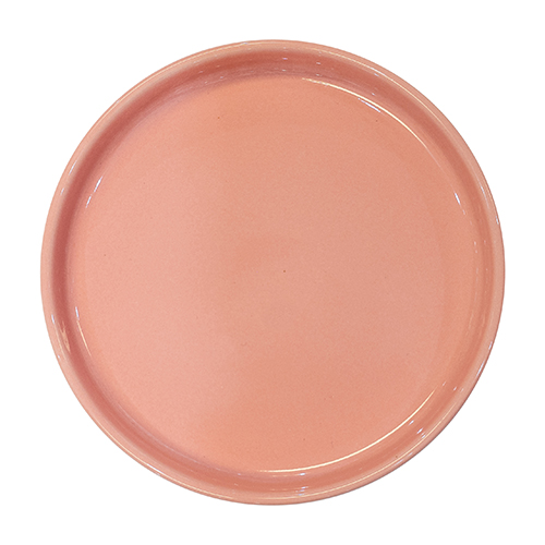 Speiseteller 27 cm "OCO rose"