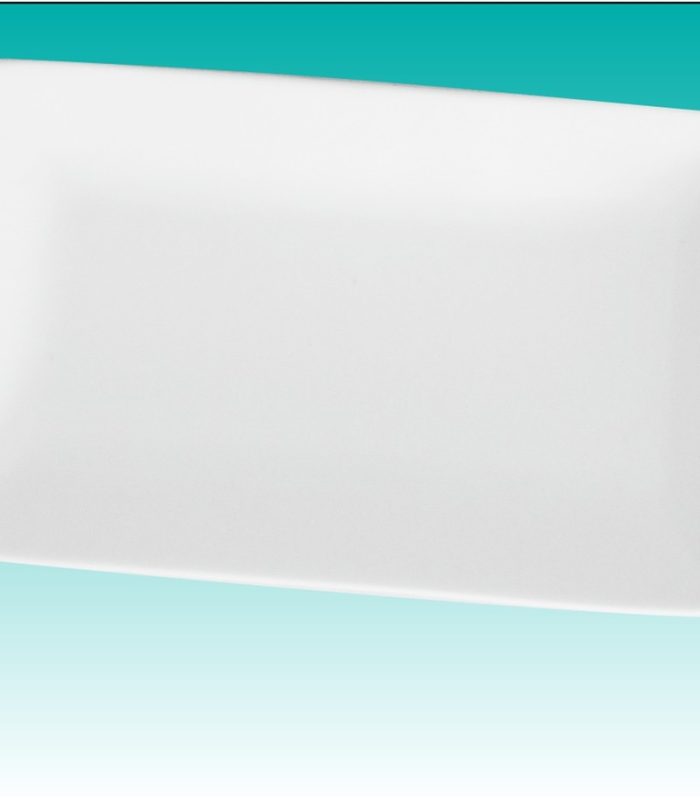 Porzellanplatte 1/1 GN "Wien" /Porzellan - Platte 1/1 GN "Crossover"