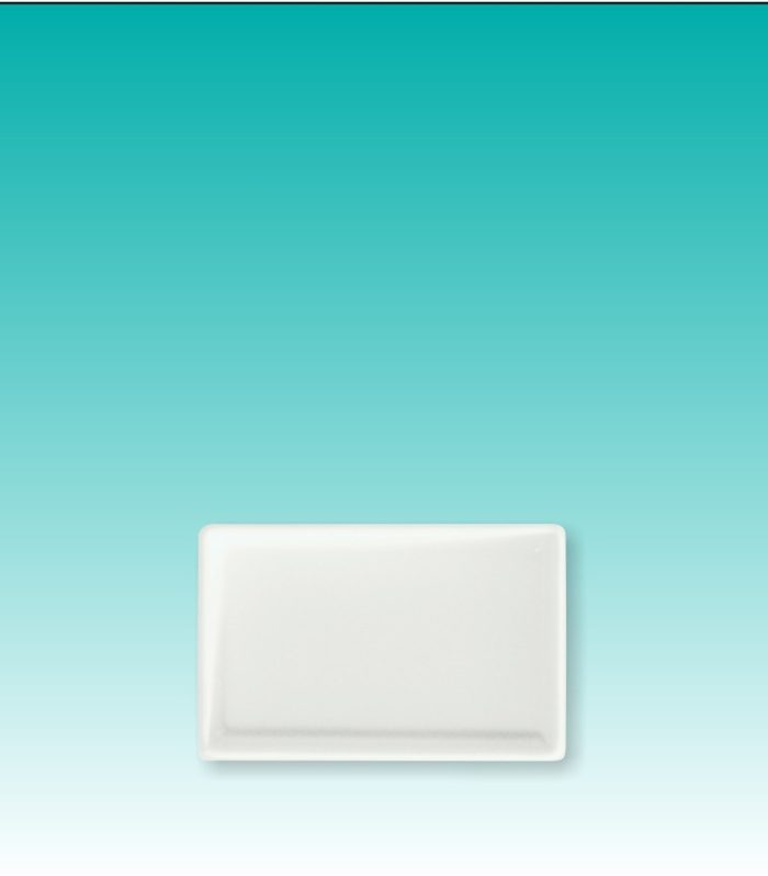 Speiseplatte 14*9 cm "Yong" / Speiseplatte 14 cm x 9 cm "OCO square"