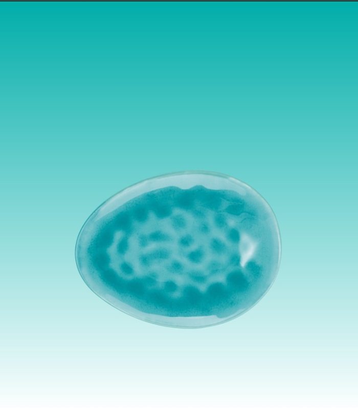 Brotteller 15,5 cm  "a la maison türkis"