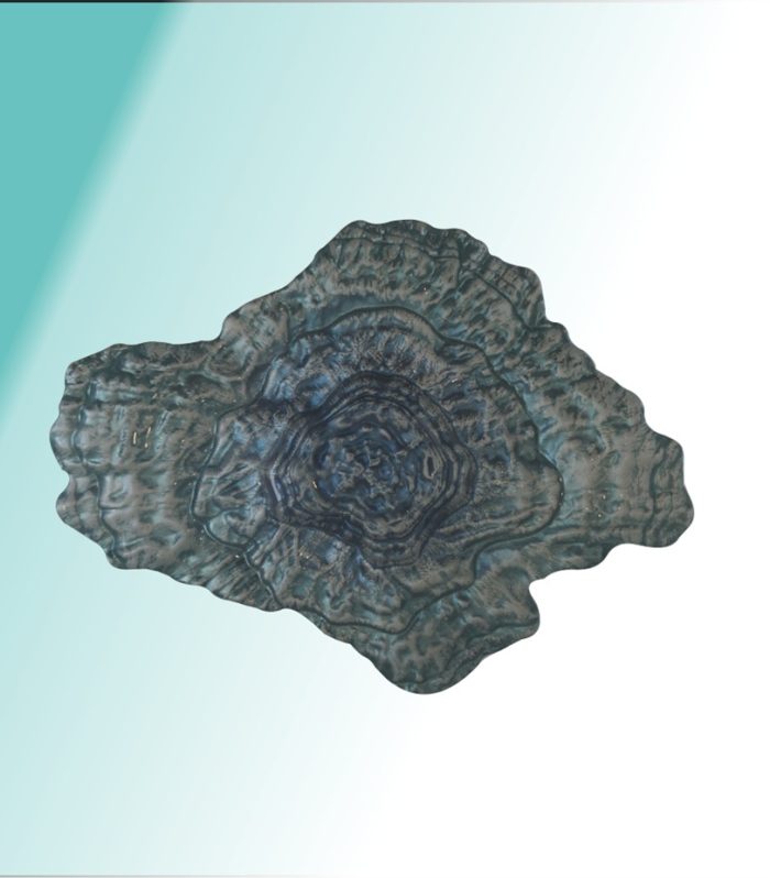 Bowl klein 22,5 x 17 x 4,5 cm "Auster cobalt"